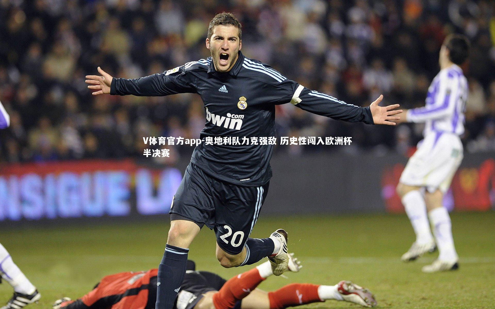 奥地利队力克强敌 历史性闯入欧洲杯半决赛