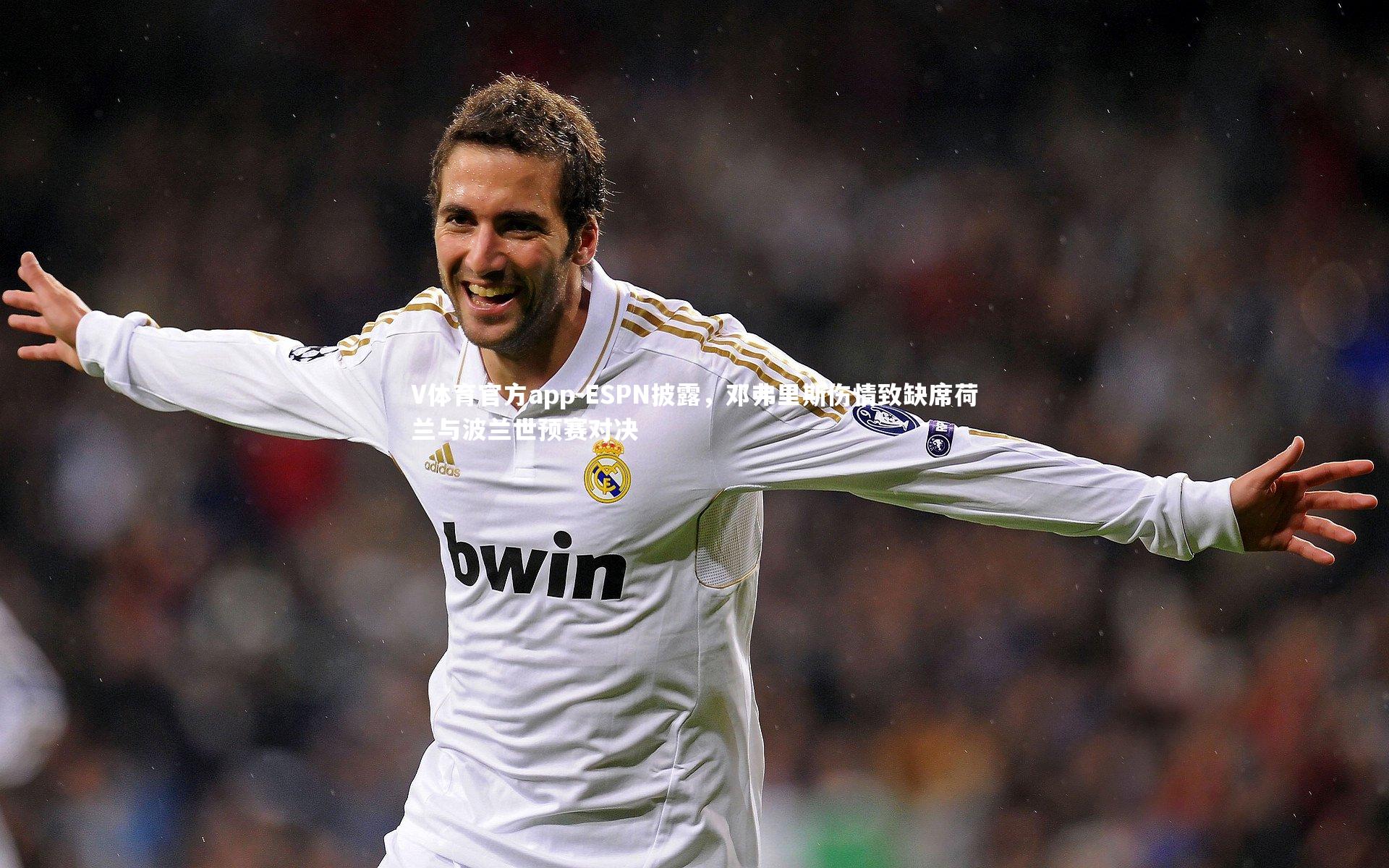 ESPN披露，邓弗里斯伤情致缺席荷兰与波兰世预赛对决